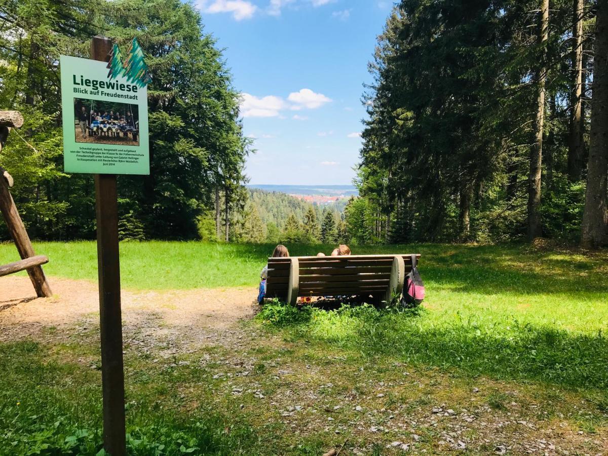 Haus Jenni Im Schwarzwald, 3,5-Zimmer, Grosse Terrasse Freudenstadt Exteriér fotografie