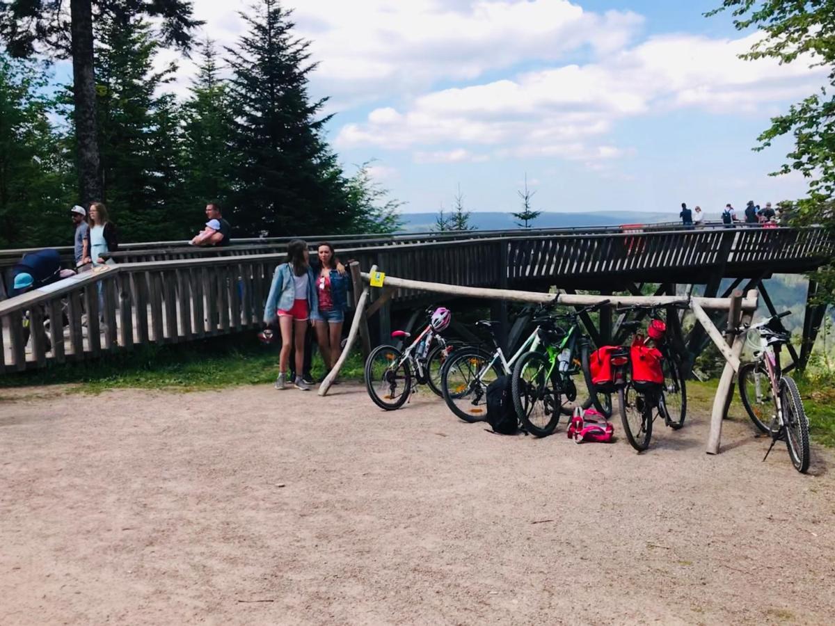 Haus Jenni Im Schwarzwald, 3,5-Zimmer, Grosse Terrasse Freudenstadt Exteriér fotografie
